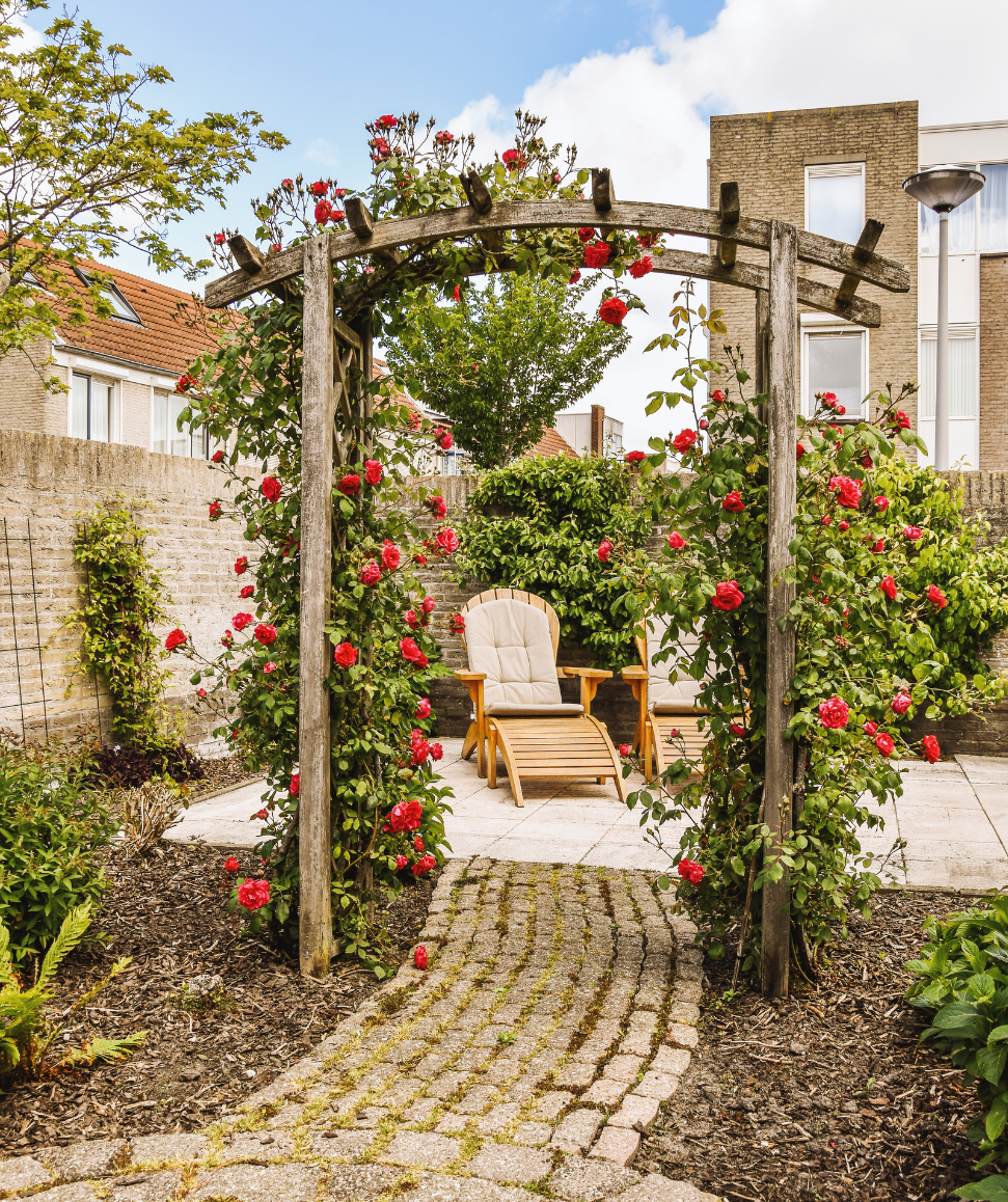 gartentor mit roten blumen als dekoratives element der gartengestaltung paderborn