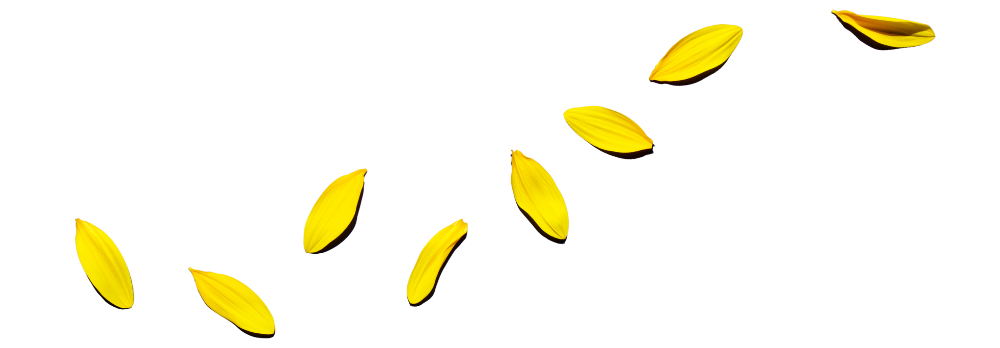 grafik von gelben blättern im wind als symbol für natürliche gartengestaltung paderborn