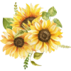 Sonnenblumen als Teil einer lebendigen Bepflanzung im Traumgarten in Paderborn